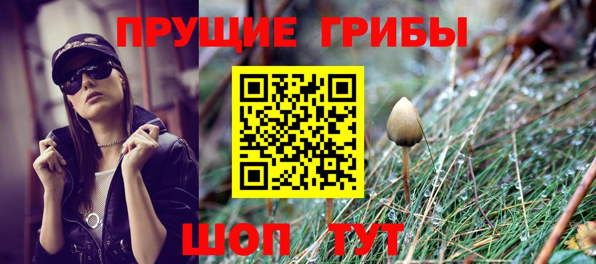 Псилоцибиновые грибы мицелий Арзамас