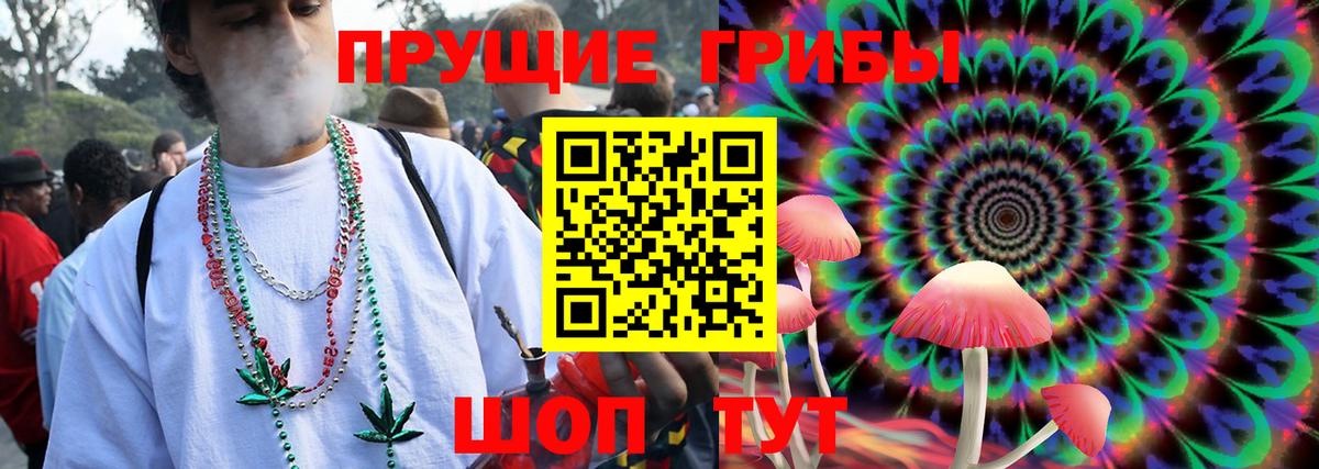 купить закладку  Вход с VPN  Арзамас  Псилоцибиновые грибы MAGIC MUSHROOMS 